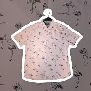 Sunrise Kingdom Gray Casual Button Down Shirt for Men